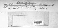Image Associated With the Occurence
